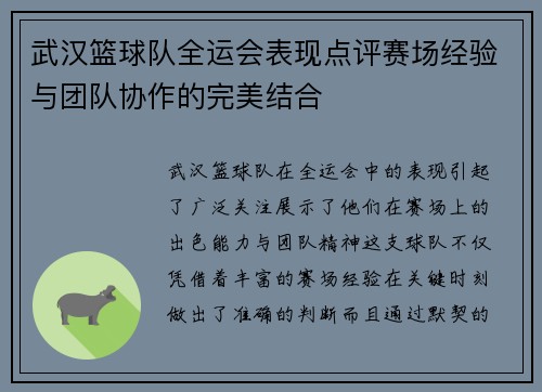 武汉篮球队全运会表现点评赛场经验与团队协作的完美结合